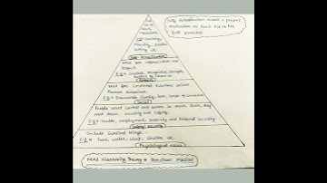 Need Hiearachy Theory  | Abraham Maslow theory of Motivation | Nta Net Commerce/Management.