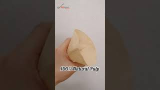 BIGSPOON KYOWA 2 4 Cups 80 Pcs Unbleached Coffee Filter Paper