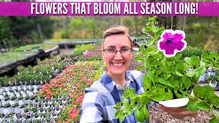 Nursery Tour! Getting Blooms From Spring to Frost