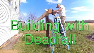 Building farm storage. Making a shed roof. Building with deadfall, part 2. FarmCraft101 Need storage? A simple shed roof can be the answer. Part 2 of turning 2 fallen oak trees into useful storage space.