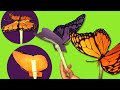 Papillon diy avec ailes mobiles  amusant et facile