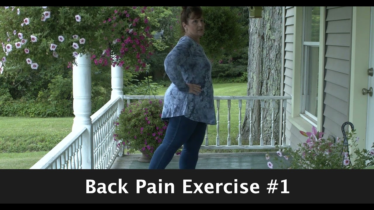 Back Pain Exercises #1
