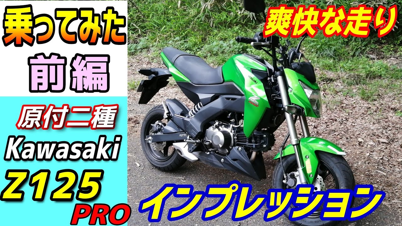 kawasaki Z125PRO カワサキ GROM ZOOMER USDM 北米仕様 スタンス 原付