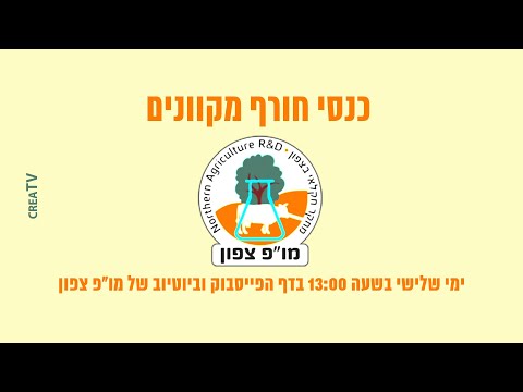 וִידֵאוֹ: ריקבון אפור של גידולי פירות אבן