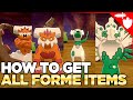 How To Get ALL FORME Changing Items in Pokemon Sword & Shield DLC Crown Tundra