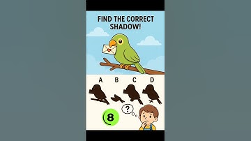 Find the Correct Shadow? #tamilshorts #logicpuzzles #riddles #memorytest #riddlejourney #logicgames