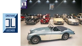 AUSTIN HEALEY 3000 MK1 1961 RHD CRISTIANO LUZZAGO