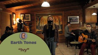 Ivy - Taylor Swift (Earth Tones Cover)