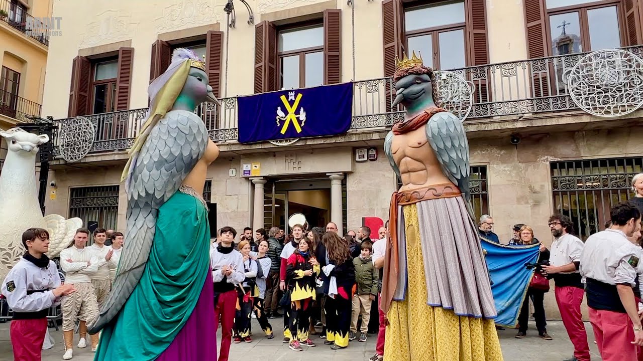La Gran pel·lícula - MATÍ de FESTA MAJOR de SANT ANDREU DE PALOMAR 2025 - Amb tots els Episodis