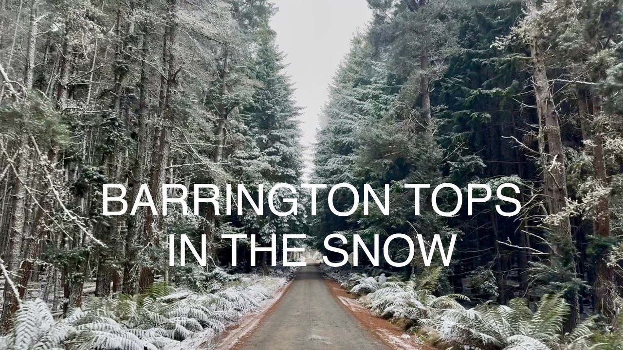 Баррингтон Топс Ин Зе Сноу, Новый Южный Уэльс