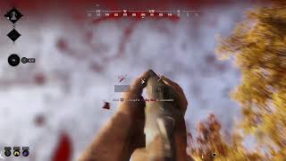 Infirmary Madness 2