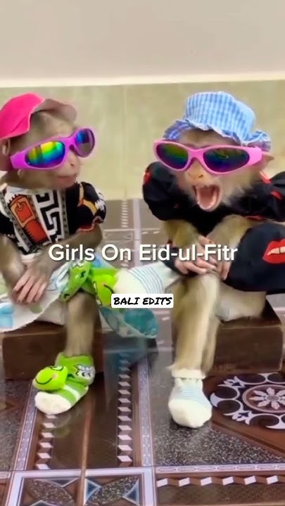 ramadan vs eid al fitr vs eid al adha