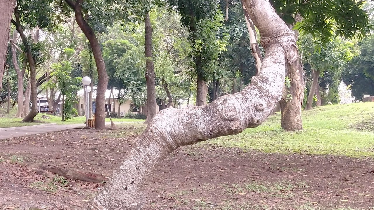 Peaceful, Quiet, And Relaxing Place | Nice Evening Guys | Glenny is live!