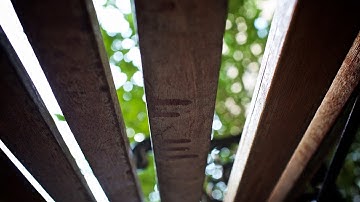 Getting All the Angles: Two Minute Tips with David Bergman