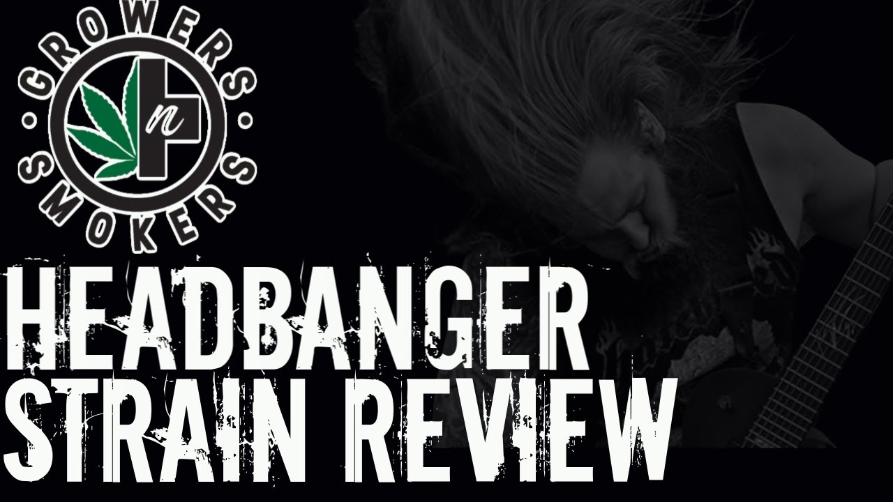 Rick Reviews - Headbanger Strain Review - Delta 9 Cannabis smoke sesh