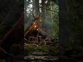 Camping alone in the wildernes #bushcraft #camping #survival #outdoors #building #nature