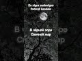 dzanum traduko en Esperanton kaj Rusia #dzanum #esperanto #эсперанто