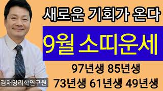 소띠 운세  2024년 9월 금전운 건강운 애정운 매매운 사업운 97년생  85년생 73년생 61년생 49년…