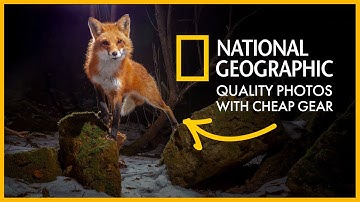 How to Build a DIY DSLR Camera Trap (Step-by-Step Guide)