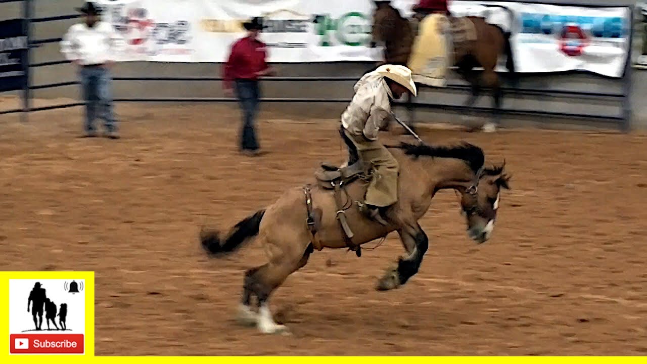 ⁣Bronc Riding 2022 Coors Cowboy Club Ranch Rodeo | Saturday