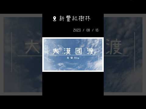 【遊記】生態豐富的濕地中，尋找「龍貓隧道」，新豐紅樹林 - 大漠國渡 (6) #遊記 #景區 #旅行 #travel