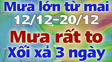 Tin mưa lớn | Dự báo thời tiết mới nhất ngày mai 12/12/2025 | thời tiết 7 ngày tới | tin bão