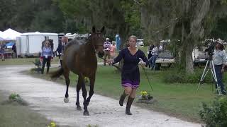 Hillary Irwin Harry Cotter Ojc 1St Jog