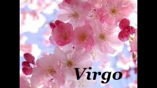 ♍ Virgo~June 21~30. Lets see whats happening. General Energies Check In