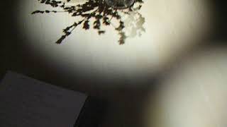 Sony Hidden Senses