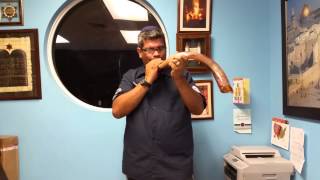 29&quot; Shofar for Samuel Casey of Birmingham, Alabama