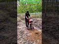 High-Speed Earth Auger Drill – Powerful Hole Digger for Tree Planting & Post Installation.