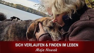 SICH VERLAUFEN & FINDEN IM LEBEN - Eine neue Reihe über das Leben - Teil 16