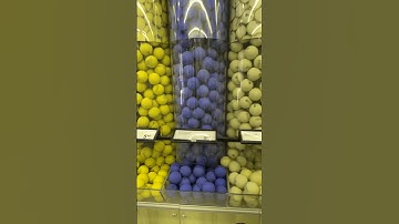 Using a dog vision filter to pick out a new dog toy!