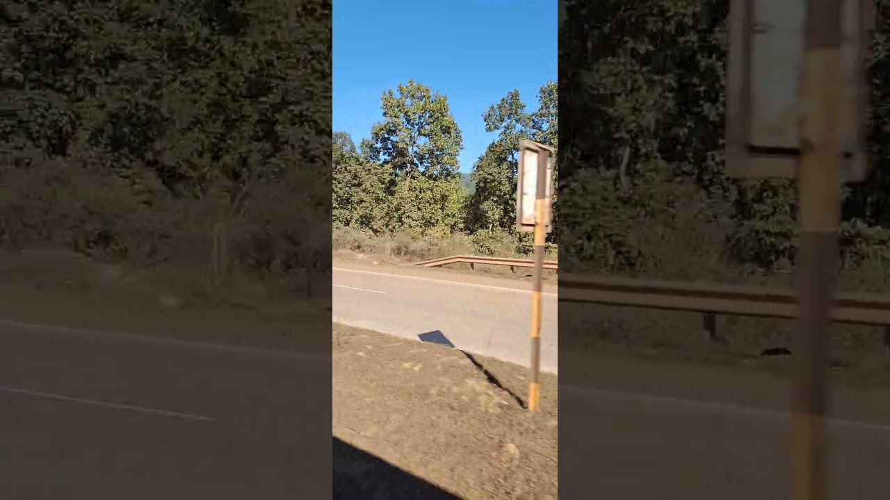 @sachinshortsblog || Bus Journey after a long time 