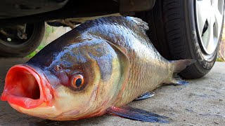 Experiment Car Vs Giant Fish - Crushing Crunchy & Soft Things By Car.