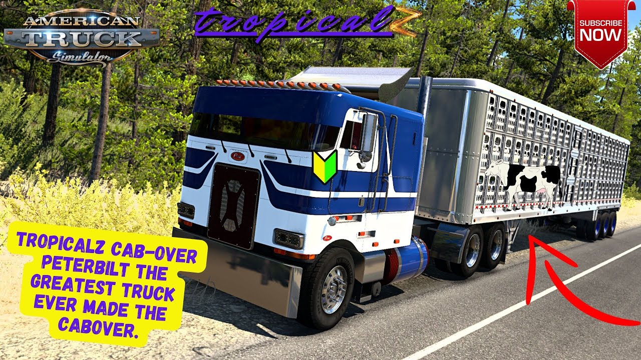 ATS Cab-over Peterbilt 362 Rud'a HAULING COWS TO THE FARM. Teaser Vid!!!