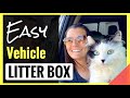 Best Cat Litter Box for Your Vehicle