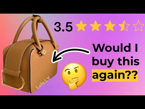 DELVAUX Cool Box Mini  Honest Review of the Pros & Cons