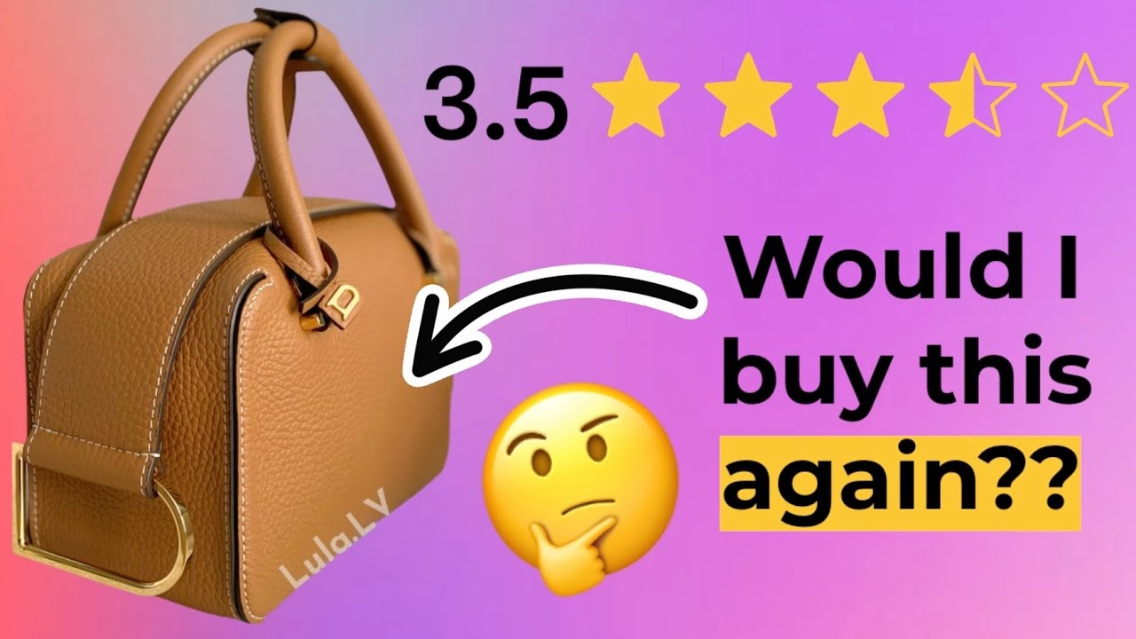 Delvaux Brillant Bag Honest Review (Updated)