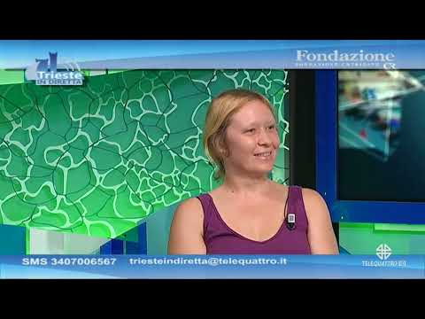 TRIESTE IN DIRETTA | 04/08/2023