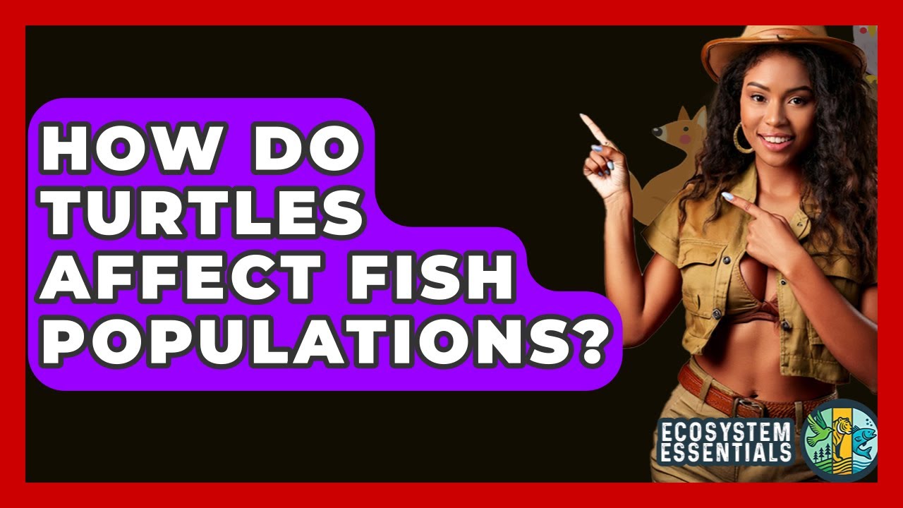 How Do Turtles Affect Fish Populations? - Ecosystem Essentials