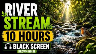 River Stream Sounds with Birds (Black Screen) | 10 Hours Nature Ambience for Sleep & Relaxation