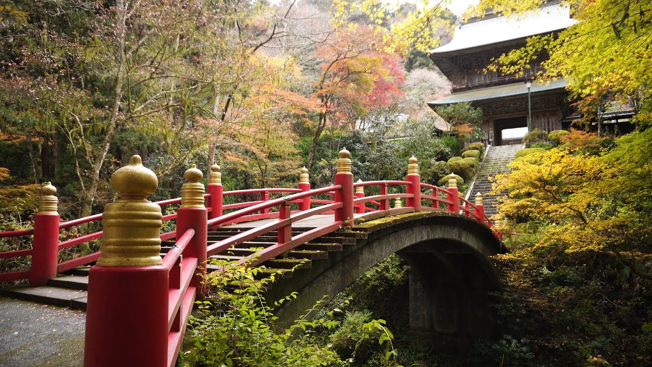 【栃木県大田原市】雲巌寺の紅葉