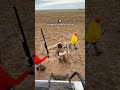 Quail Hunting 60,000 Acres In Mexico
