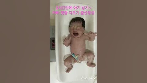 2시간만에 아기 낳기 아빠 아기 탯줄자르기 출산 리얼영상 #shorts
