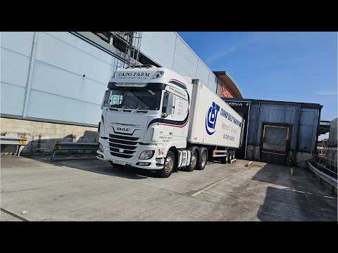 Busy Days on the Fridges: Chaos, Delays & Maxing Out the Hours | UK Trucking