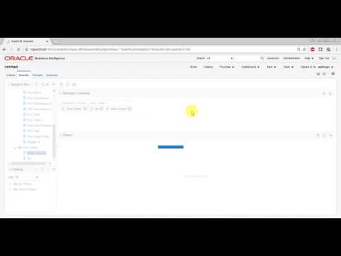 How Presentation Layer looks like in OBIEE 12C Analytics