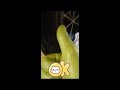 バイクのパンクにもいろいろあります #shorts