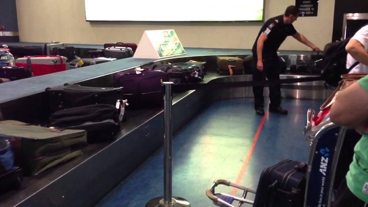 Auckland airport baggage lane YouTube