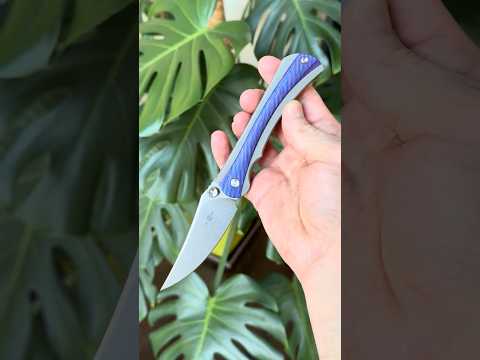 Twosun TS283 Wong Design 14C28N Dyed G10 Titanium Framelock   Knife Den Xin
